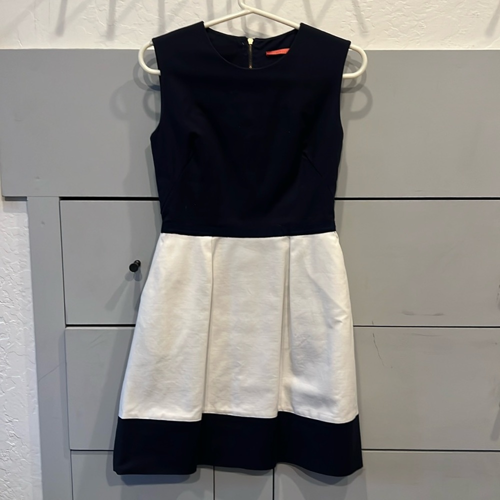 Sinclaire Navy and White Dress size 2